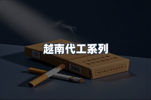 越南代工系列